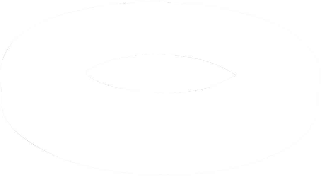 BSH Bosch Siemens 00619331 Wellendichtring - Simmerring