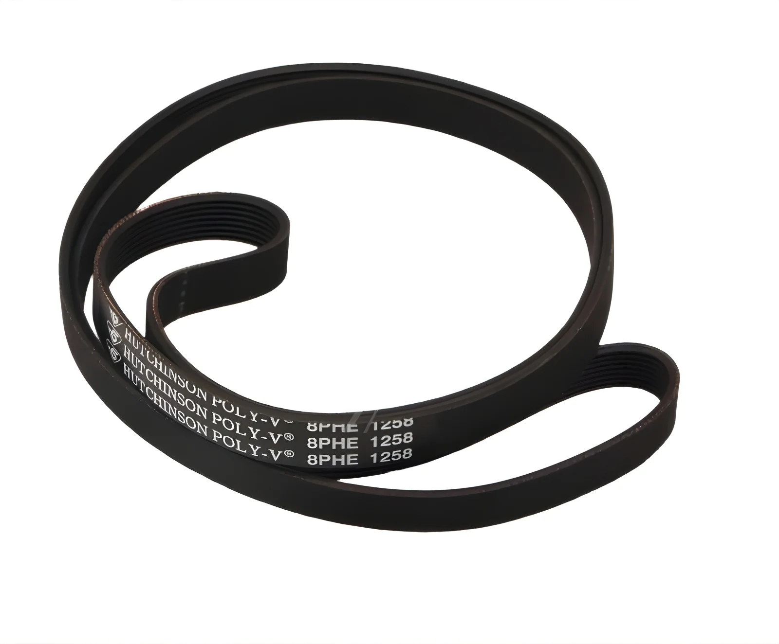 Amica 1067581 Riemen - 8eph1258 riemen