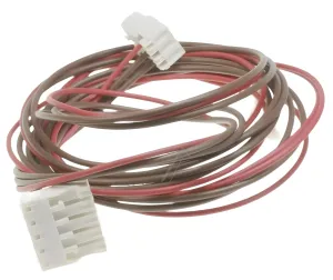 Whirlpool Indesit 482000030255 Stecker - C00196178 verkabelung türschalter - ablaufpumpe