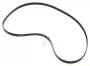 Hutchinson Poly-V-Riemen H - 1191 h 8 ma poly-v riemen / rippenband